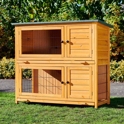 Rabbit hutch guinea pig - rabbit,