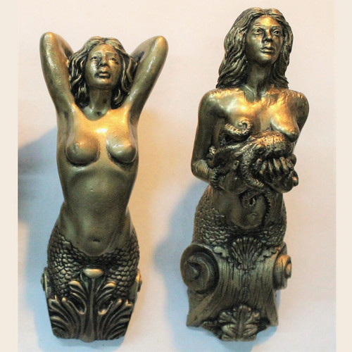 Marine golden siren - 2,