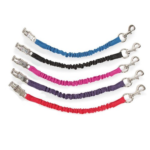 Horse masters elastic - horse,