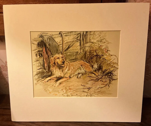 Nora howarth golden retriever - howarth,