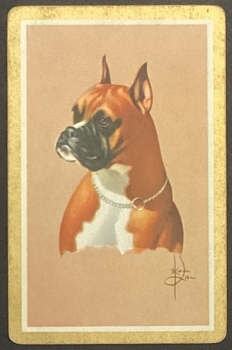 Boxer dog vintage - boxer, swap