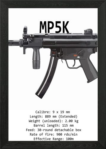 Mp5k aesthetic specs - specs, framed