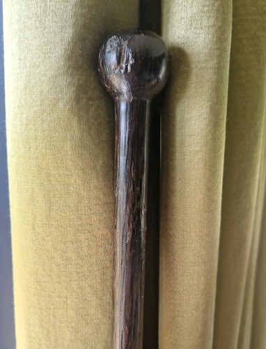 Antique vintage african palm - antique,