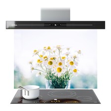 Glass Backsplash Kitchen Hob