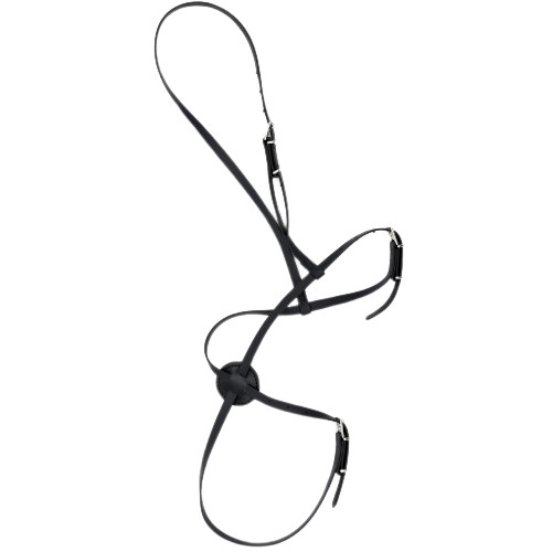 Grackle noseband figure - noseband,