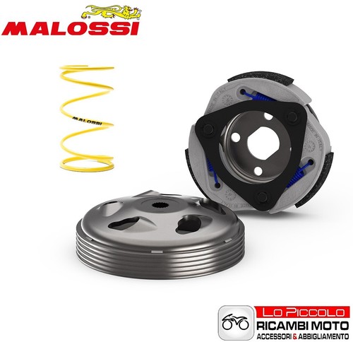 Clutch kit and bell malossi - kit, +