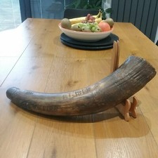 Fantastic Mega Rare Large 18th Century Dated Powder Horn 
