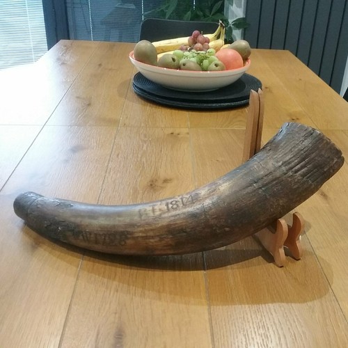 Fantastic mega rare large 18th - rare,