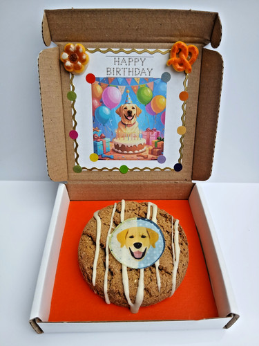 Labrador retriever dog - labrador,