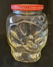 Vintage Dinosaur Triceratops