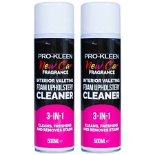 ProKleen Interior Foam Car