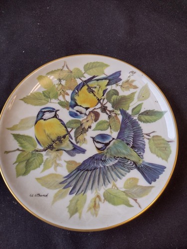 Wwf blue tit bird - wwf,