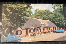 unused postcard - THE CAT AND