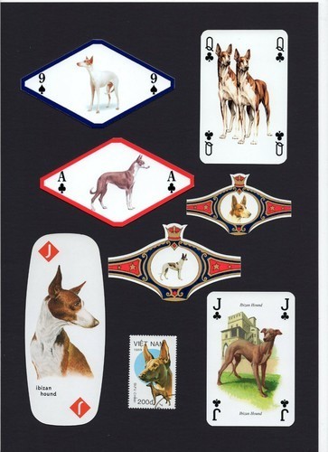 Ibizan hound mounted set - ibizan,