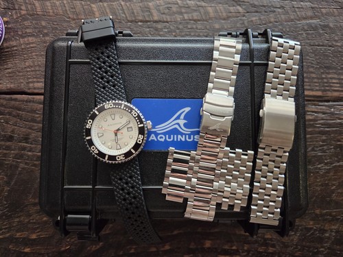Aquinus immersius diver - aquinus,