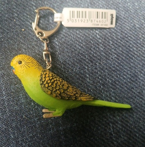Mojo bird budgie - budgie, on