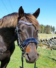 Anatomical Bridle FSS FREEWAY