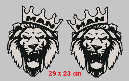 Man truck decals - decals,