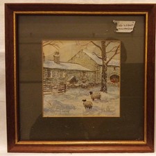 "Evening Light". Colin