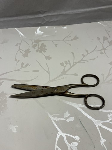 Harrison fisher co - fisher, &