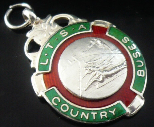 Sterling silver enamel pocket - silver,