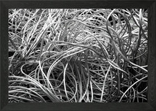 Wired Aluminum Framed Wall Art