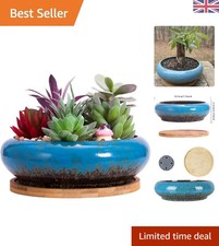 Elegant 18.5CM Ceramic