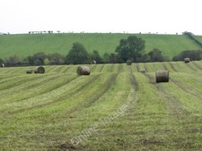 Photo 6x4 Silage bales Twechar