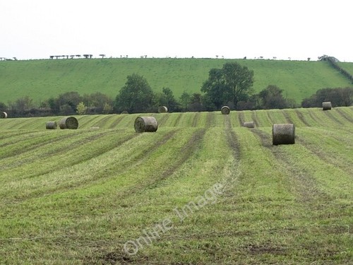 Photo 6x4 silage - 6x4,