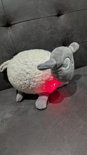 Ewan the dream - ewan, sheep