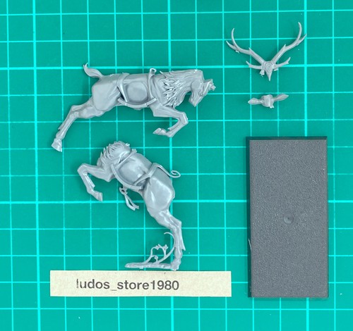 Wild riders stag - mount, a