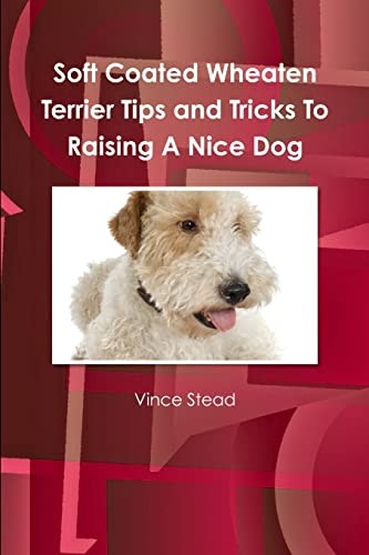 Soft coated wheaten - coated,