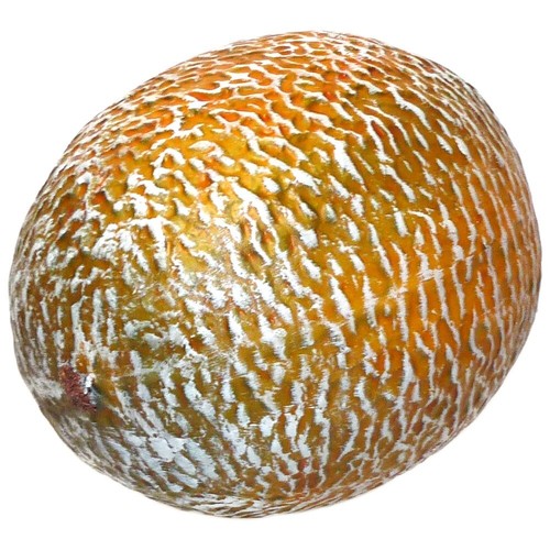 Artificial whole cantaloupe - artificial,