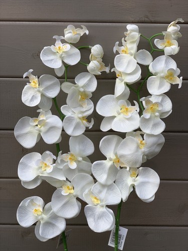 95cm phalaenopsis orchid - 2x,