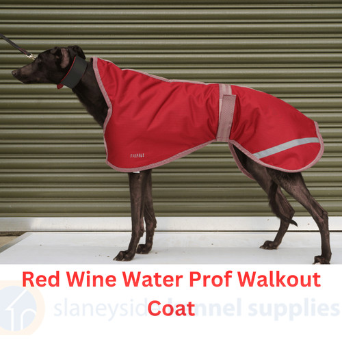 Greyhound dog coat waterproof - coat,