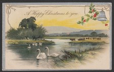 Christmas Postcard Swans River