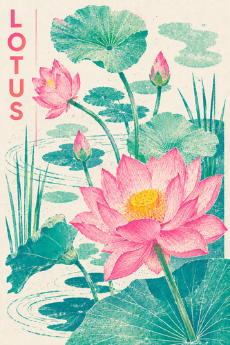 Lotus flower poster - 36.,