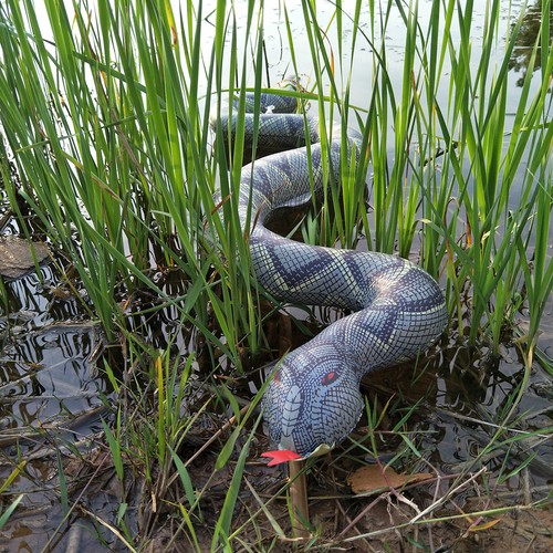 120cm inflatable snake - inflatable,