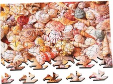 wentworth wooden puzzles -