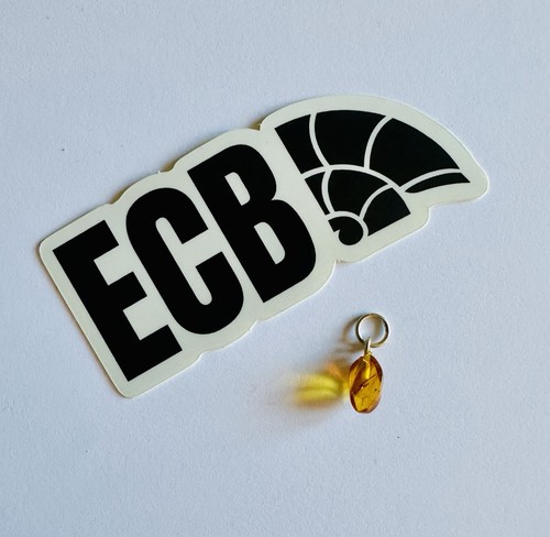Baltic amber pendant with - pendant, fly