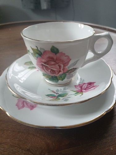 Royal stafford berkeley rose - stafford,