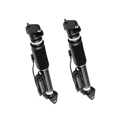 Pair Rear shock absorber For