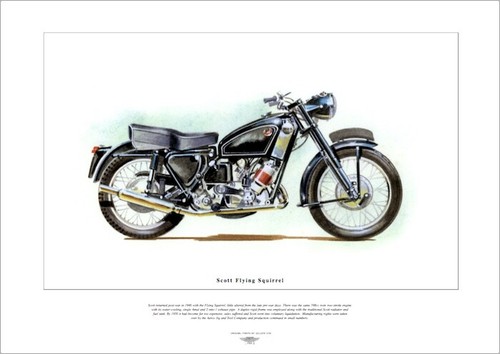 Scott flying squirrel - scott,