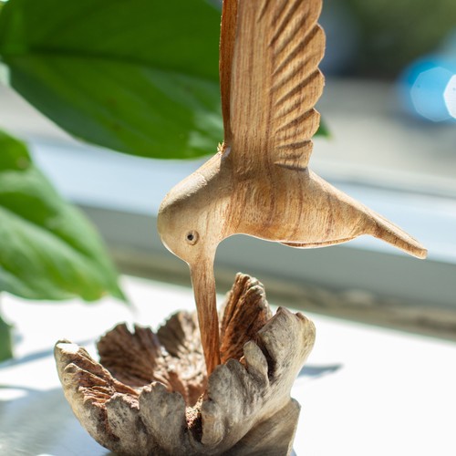 Hummingbird drinking nectar - drinking,