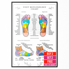 Foot Reflexology Poster Human