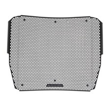 Triumph Speed Triple RS & RR