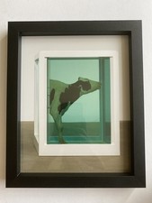 DAMIEN HIRST UNSIGNED PRINT