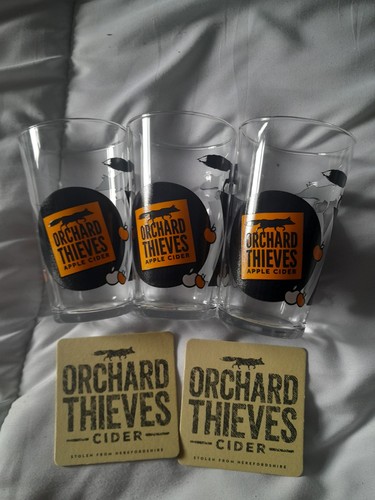 Orchard thieves glasses and - thieves,
