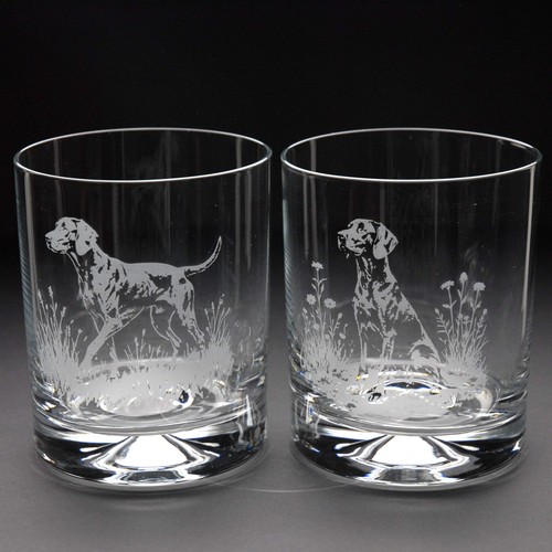German pointer dog whiskey - german,