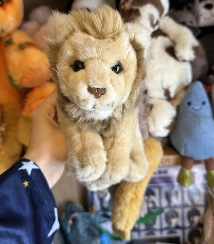 Rare wwf anna - wwf,